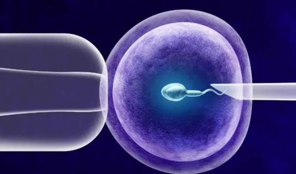 卵巢早衰试管取卵001，卵巢早衰试管取卵最多几次