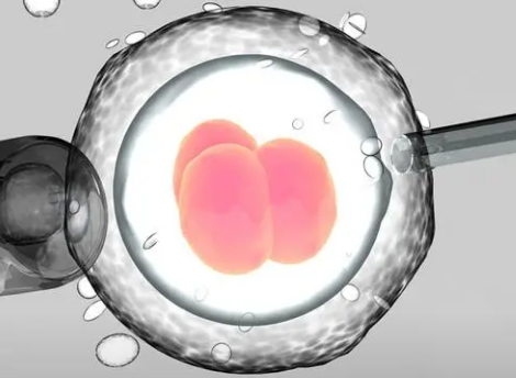 经典问答：为什么做试管婴儿医生建议我胚胎养囊？